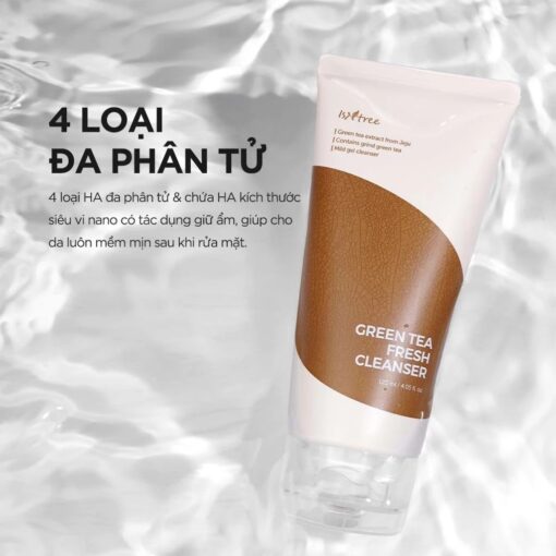 4 loại phân tử Isntree Green Tea Fresh Cleanser