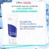 Isntree Hyaluronic Acid Low-PH Cleansing Foam