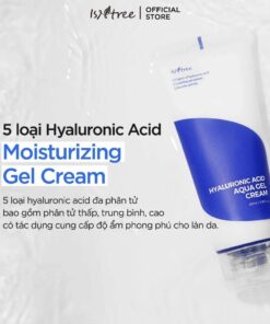 Isntree Hyaluronic Acid Aqua Gel Cream 100ml