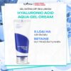 Isntree Hyaluronic Acid Aqua Gel Cream