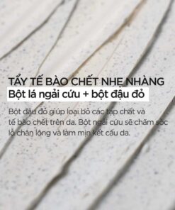 Tẩy tế bào chết Isntree Mugwort Calming Clay Mask