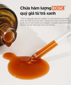 Tinh chất trà xanh Isntree Green Tea Fresh Serum