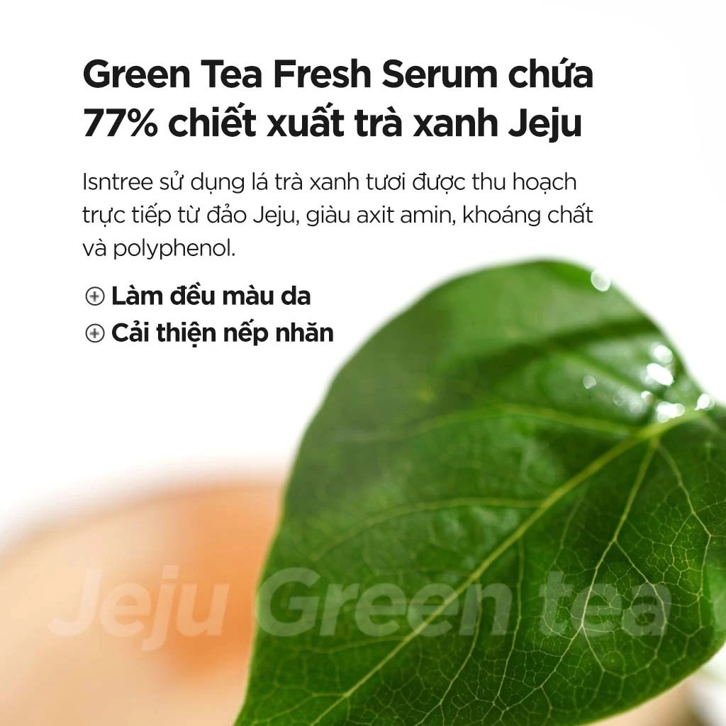 Tinh chất trà xanh Isntree Green Tea Fresh Serum 50ml